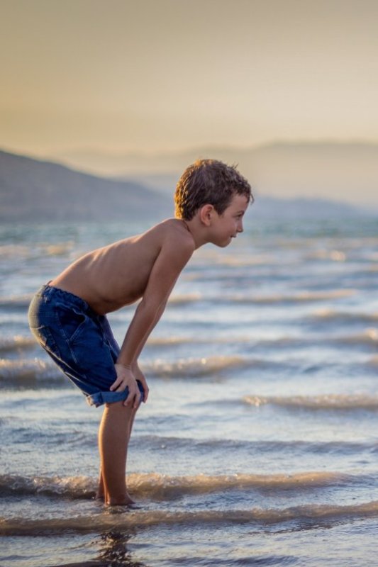 Informationen zum kostenlosen Download.